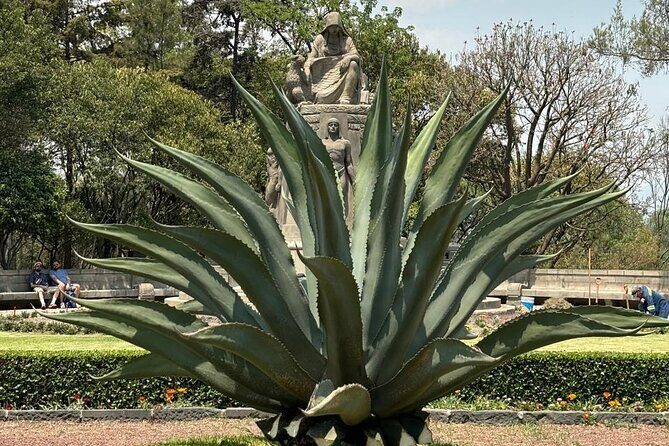 Private Tour in the Historic Center of CDMX and Chapultepec - FAQ