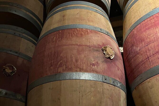 Private tour in the prestigious Médoc wine region - Who is This Tour Best For?