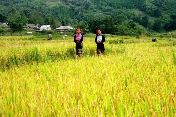 Private Tour in the Tribal Villages of Vietnam - An In-Depth Look at the Itinerary