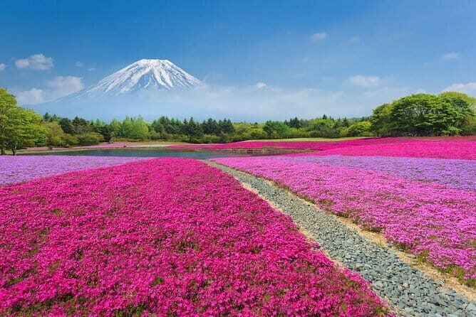 Private Tour in Tokyo with Shopping - FAQ