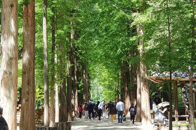 Private Tour including Nami Island with attractions in Seoul - What Makes This Tour Stand Out?