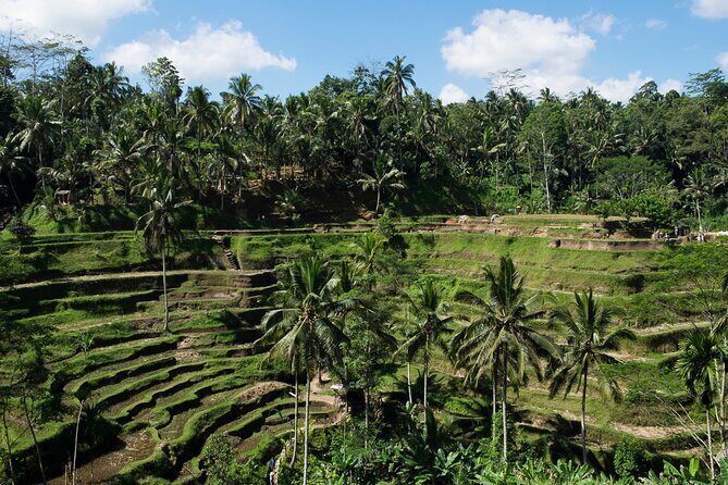Private Tour: Incredible 6 Days Bali Tour Package with Airport Transfer - FAQ