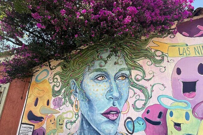 Private Tour Jalatlaco and Xochimilco in Oaxaca - How This Tour Compares