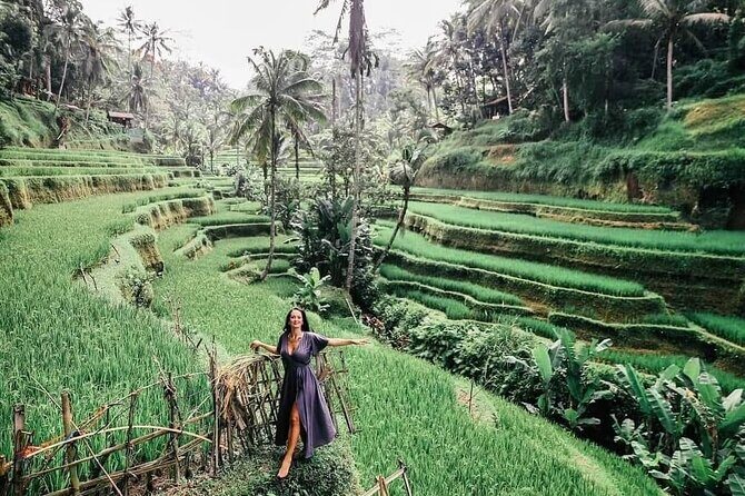 Private Tour: Jatiluwih Rice Terrace,Ulun danu and Banyu Mala Waterfall Tour - An In-Depth Look at the Tour Experience