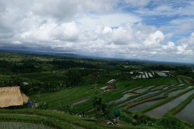 Private Tour: Jatiluwih Rice Terrace,Ulun danu and Banyu Mala Waterfall Tour - FAQs