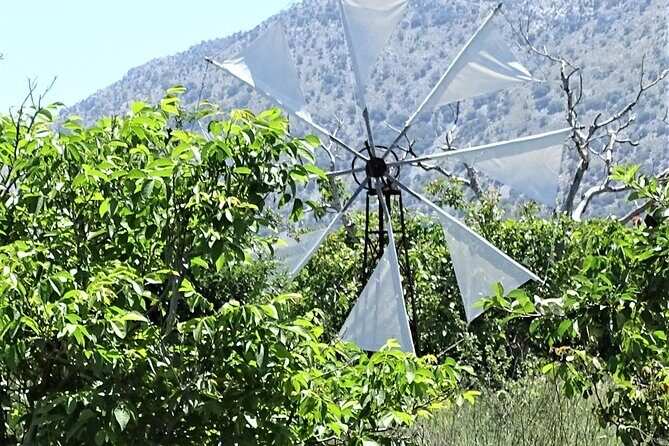 Private Tour-Knossos Palace Zeus Cave Olive Oil Mill & Wine - A Full-Day Adventure: What to Expect