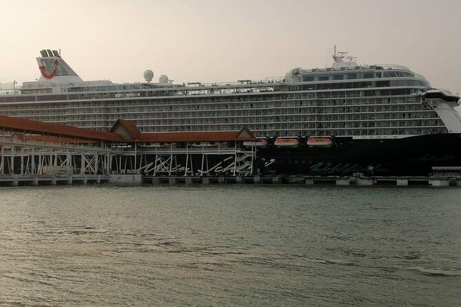 Private Tour : Kuala Lumpur Excursion with Petronas Entry Tickets - Port Klang - Practical Details and What They Mean for You