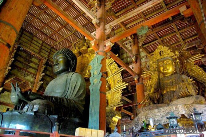 Private Tour Kyoto-Nara w/Hotel Pick Up & Drop off from Kyoto - Who Should Consider This Tour?