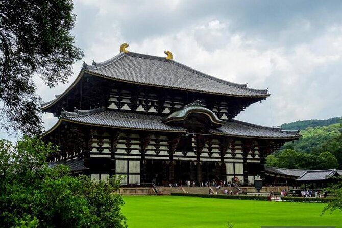 Private Tour Kyoto-Nara w/Hotel Pick Up & Drop off from Kyoto - The Sum Up