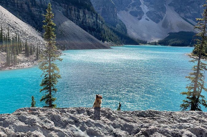 Private Tour Lake Louise & Moraine Lake - Who Should Consider This Tour?