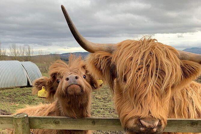 Private Tour Loch Lomond Stirling and the Kelpies from Glasgow - Practical Tips for Travelers