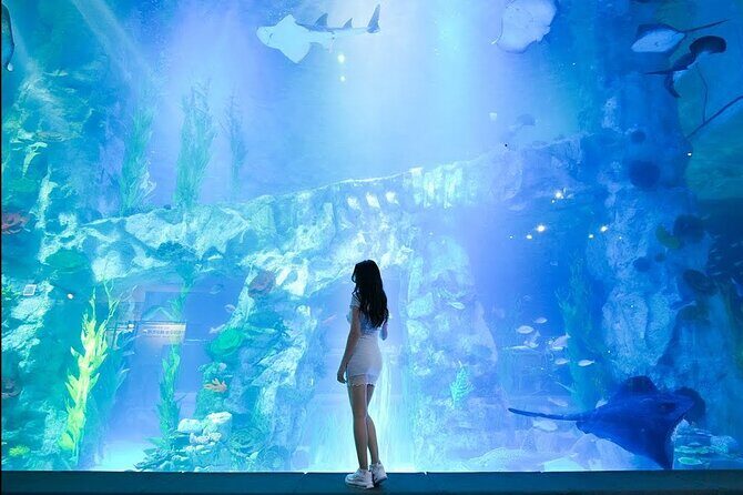 Private tour Lotte World,Tower,Aquarium(All Tickets are included) - FAQ