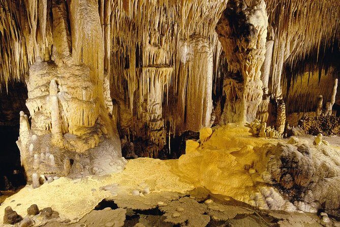 Private Tour: Mallorca Caves of Drach and Majorica Pearl Factory - Who Should Consider This Tour?
