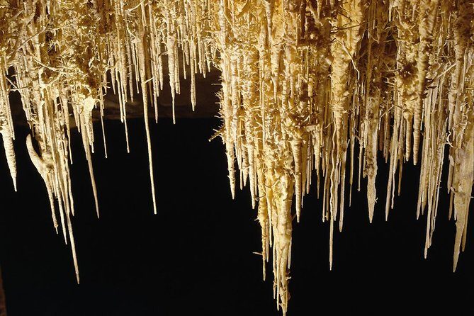 Private Tour: Mallorca Caves of Drach and Majorica Pearl Factory - The Sum Up