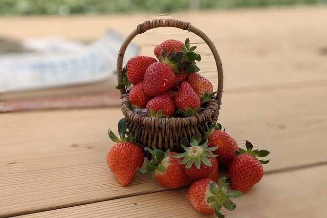 Private tour Meet the Sheep of Aso and pick Aso strawberries - Exploring Aso: A Unique Mix of Nature, Farming, and Flavors