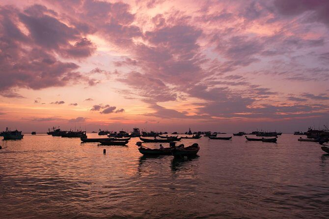 Private Tour Mekong Delta Day Trip from Ho Chi Minh City - Who Would Enjoy This Tour?