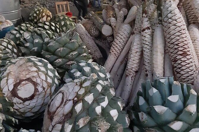 Private tour Mitla, Weavers town, Mezcal and Boil the water - The Natural Wonder of Hierve el Agua