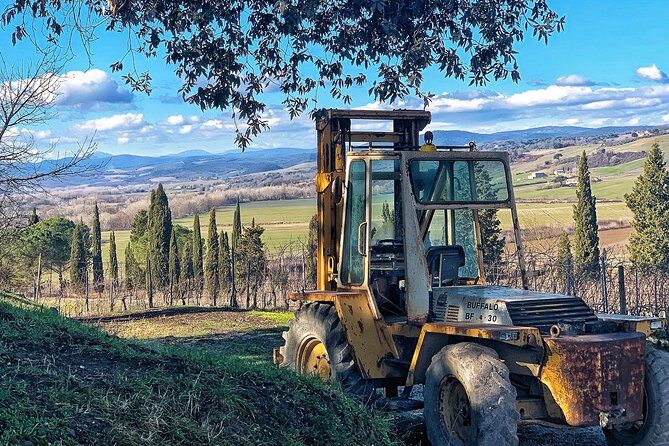 Private Tour: Montalcino Wine Tasting Experience - FAQs