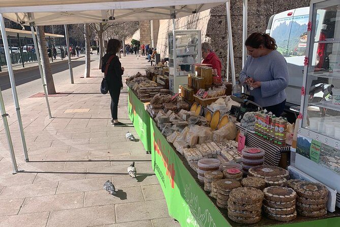 Private Tour: Montserrat and Cava Visit - Final Return and Reflection