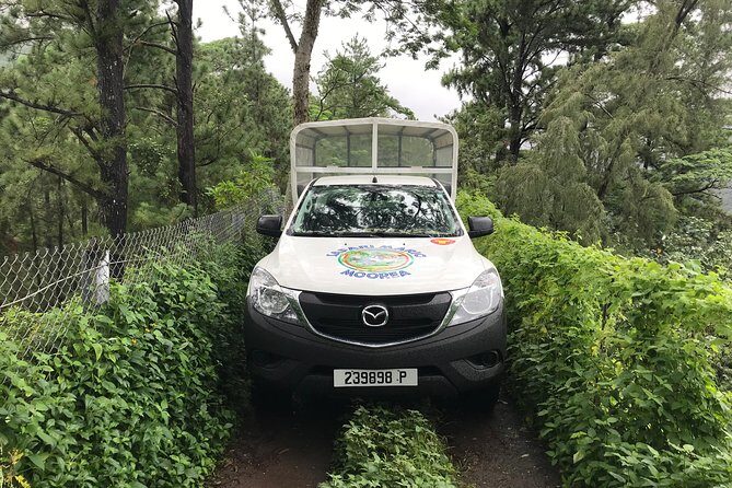 Private Tour Moorea 4WD - Belvedere Pineapple Farm, Magic Mount. - Frequently Asked Questions