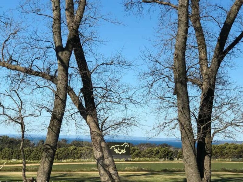 Private Tour: Mornington Peninsula Wine, Beer & Hotsprings - A Complete Picture of the Mornington Peninsula Private Tour