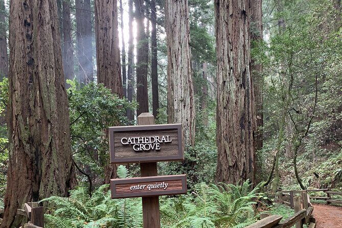 Private Tour Muir Woods and Sausalito - An In-Depth Look at the Private Muir Woods and Sausalito Tour
