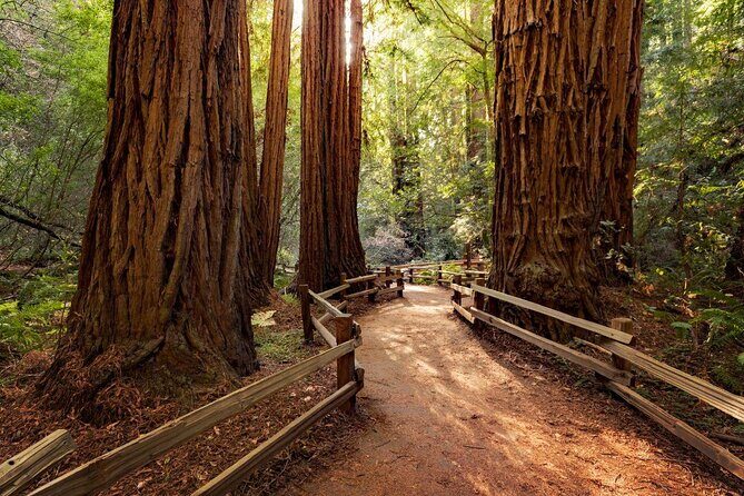 Private Tour Muir Woods and Sausalito - Analyzing the Value