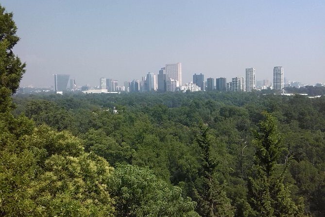 Private Tour Museum of Anthropology and Chapultepec Castle. - An In-Depth Look at the Tour Experience
