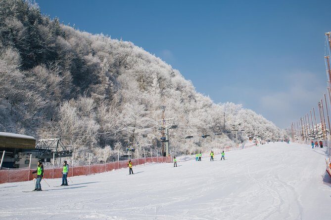 [Private Tour] Nami Island & Snow Viewing and Snow sled (More Members Less Cost) - Key Points