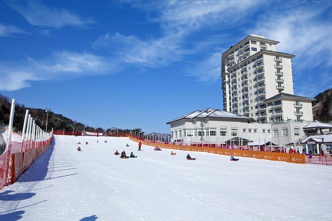 [Private Tour] Nami Island & Snow Viewing and Snow sled (More Members Less Cost) - Final Thoughts: Is It Worth It?