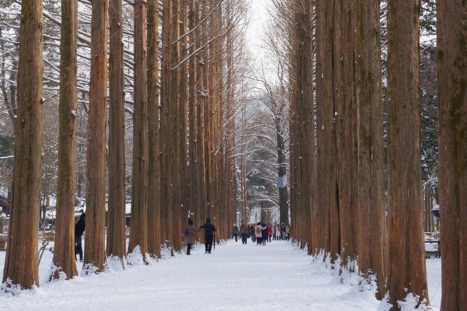 [Private Tour] Nami Island & Snow Viewing and Snow sled (More Members Less Cost) - FAQ