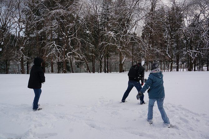 Private Tour Nami Island with Petite France 'and/or' The Garden of Morning Calm - What You Can Expect from the Tour
