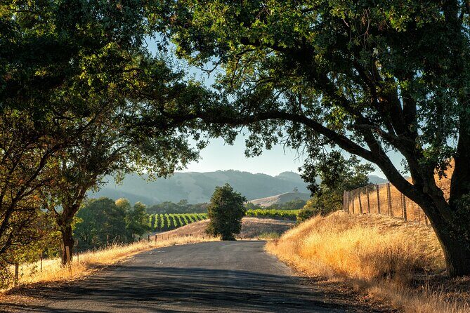 Private Tour Napa and Sonoma Valley Wine - A Detailed Look at the Napa and Sonoma Private Wine Tour