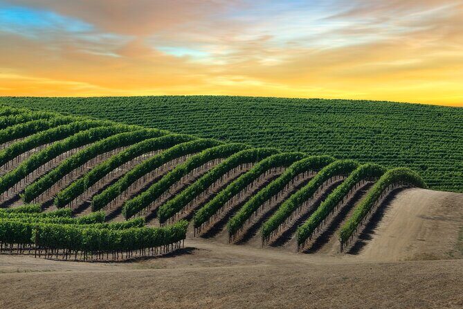 Private Tour Napa and Sonoma Valley Wine - Final Thoughts: Is This Tour Right for You?