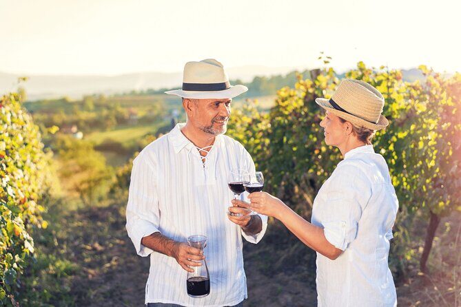Private Tour: Napa and Sonoma Wine Country - Final Thoughts