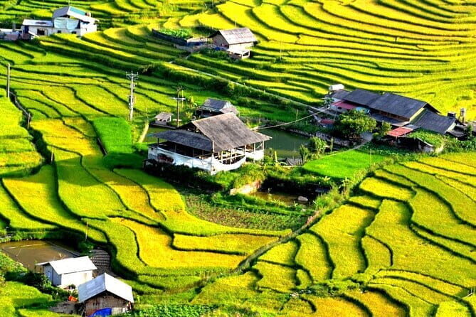 Private Tour Nghia Lo Mu Cang Chai Sapa Bac Ha 5-day from Hanoi - Final Thoughts