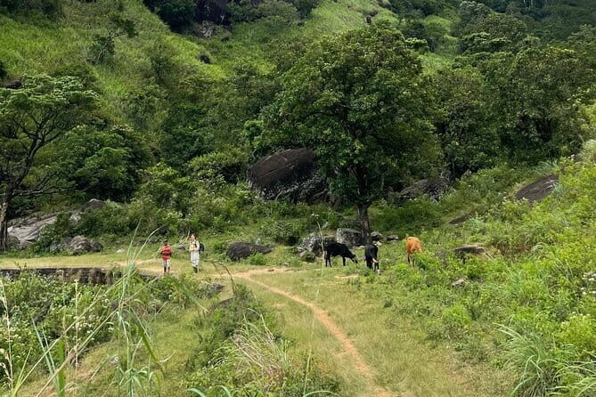 Private Tour Nghia Lo Mu Cang Chai Sapa Bac Ha 5-day from Hanoi - FAQ