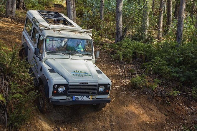 Private Tour: Nun's Valley & Sea Cliff - Half Day Jeep Tour - A Detailed Look at the Private Nun’s Valley & Sea Cliff Jeep Tour in Madeira