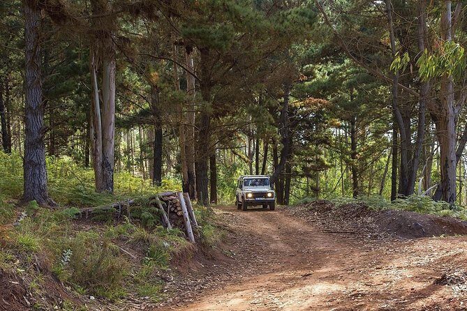 Private Tour: Nun's Valley & Sea Cliff - Half Day Jeep Tour - Key Points