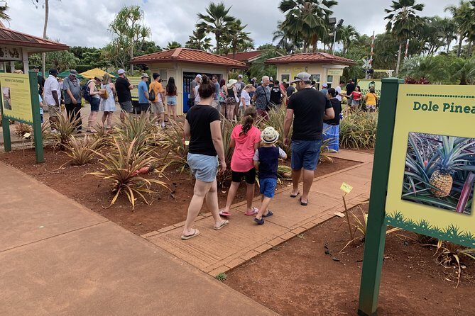 Private Tour : OAHU, MAUI, KAUAI or BIG ISLAND : Pick any Island - Practical Tips for Booking & Enjoying Your Private Tour