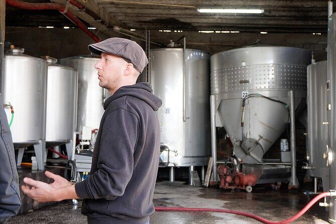 Private Tour Obidos and Nazare with Family Winery from Lisbon - Nazaré: From Cliff Views to Ocean Roars