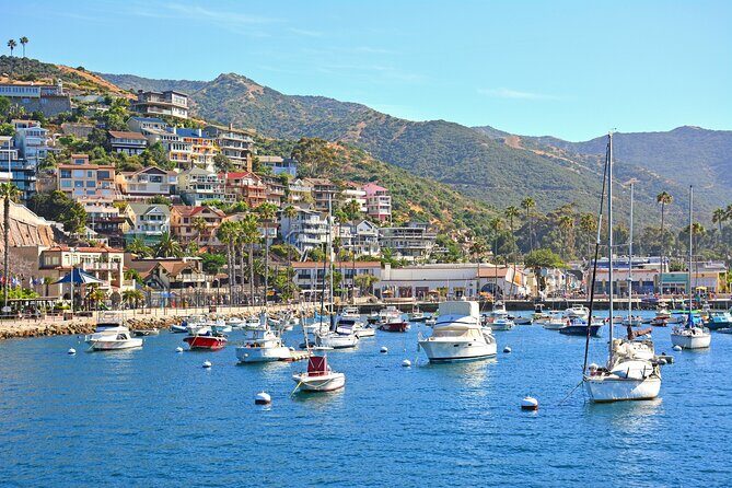 Private Tour of Avalon from Catalina Island - Introduction: Why Consider a Private Tour to Avalon?