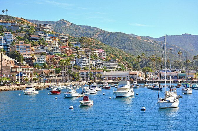 Private Tour of Avalon from Catalina Island - The Practical Side: Transportation, Timing, and Group Size