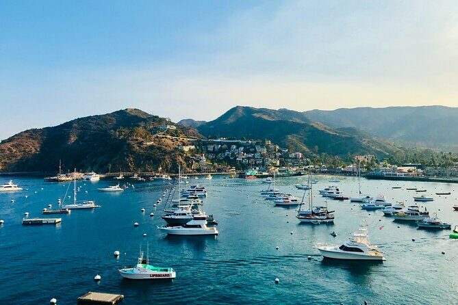 Private Tour of Avalon from Catalina Island - Authentic Experiences and Real Traveler Insights