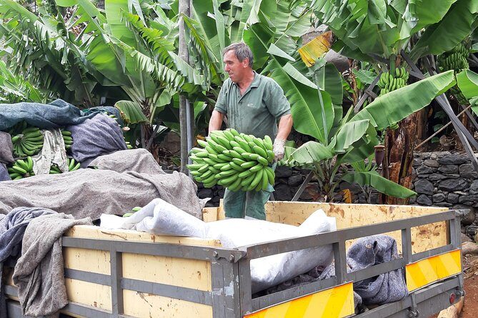 Private Tour of Banana Farm from Funchal - FAQs