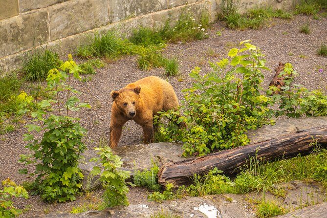 Private Tour of Bern in 60 minutes with a Local - FAQs