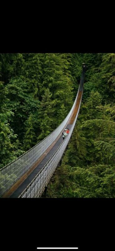 Private Tour of Capilano Suspension Bridge & Grouse Mountain - Practical Details and What Sets This Tour Apart
