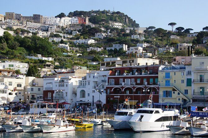 Private tour of Capri & Anacapri with Scenic Shared Boat Ride - What Makes This Tour Stand Out?