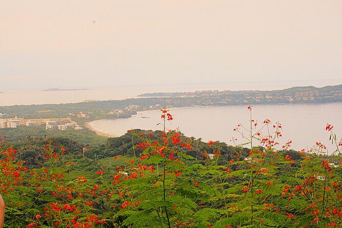 Private Tour of Cerro del Mono - The Itinerary: What to Expect