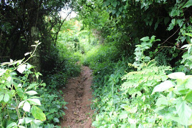 Private Tour of Cerro del Mono - Pricing and Value